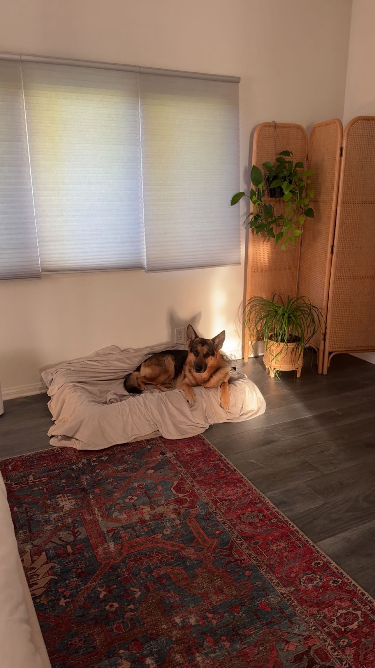 little.warren1 snapchat image archive image