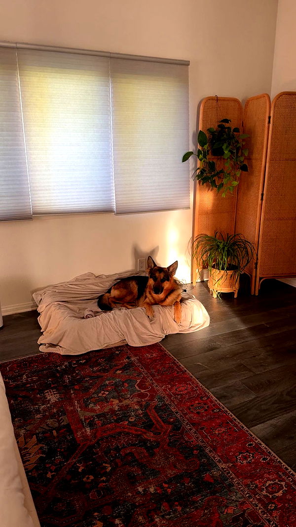 little.warren1 image ~ Altpins