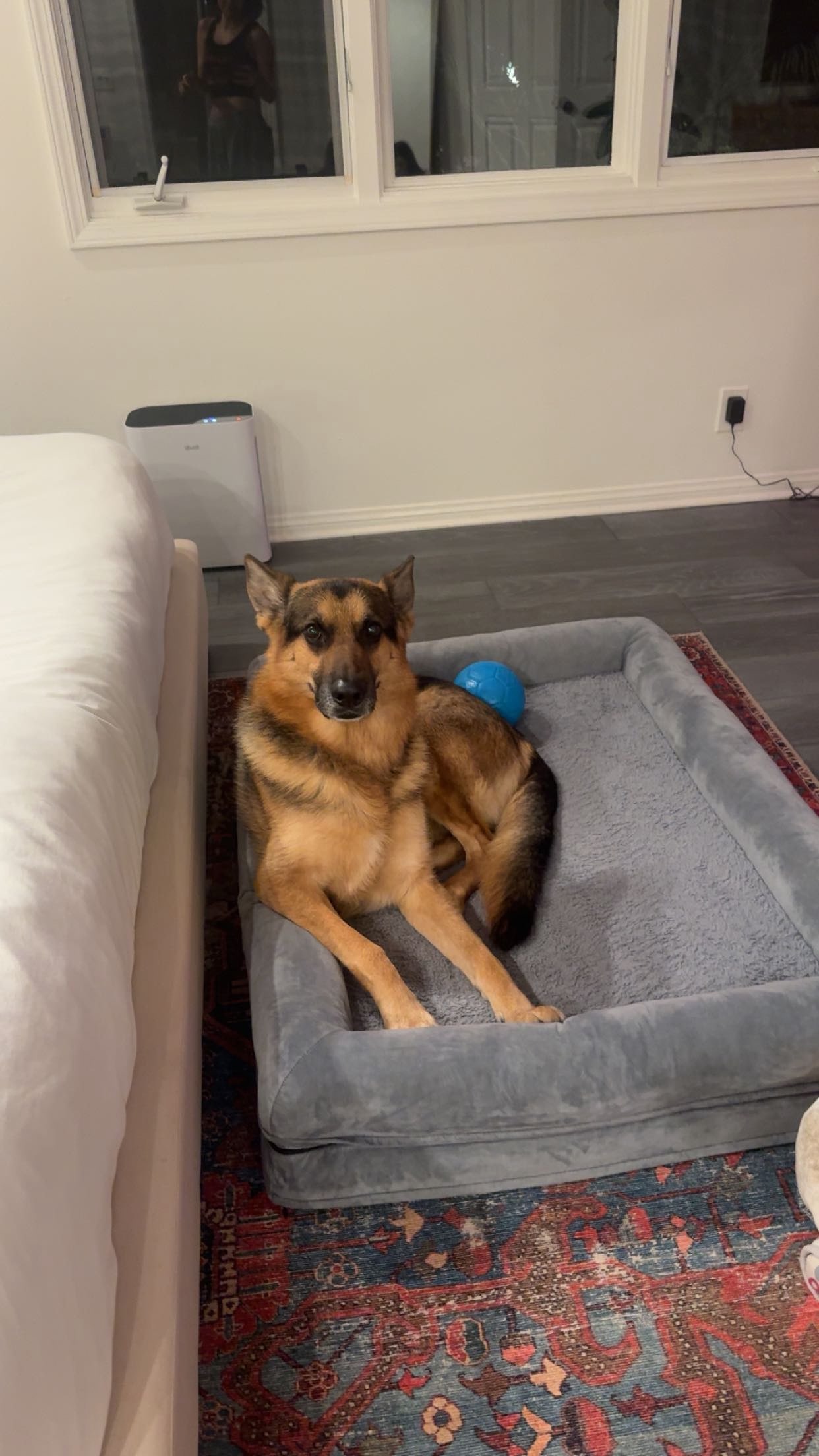 little.warren1 snapchat image archive image