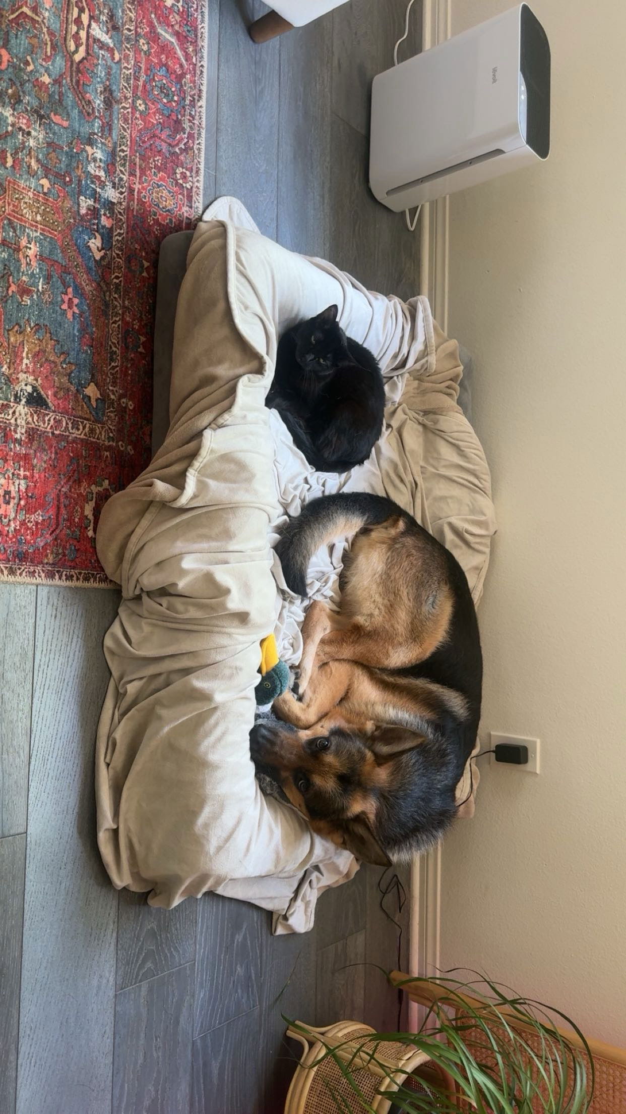 little.warren1 snapchat image archive image