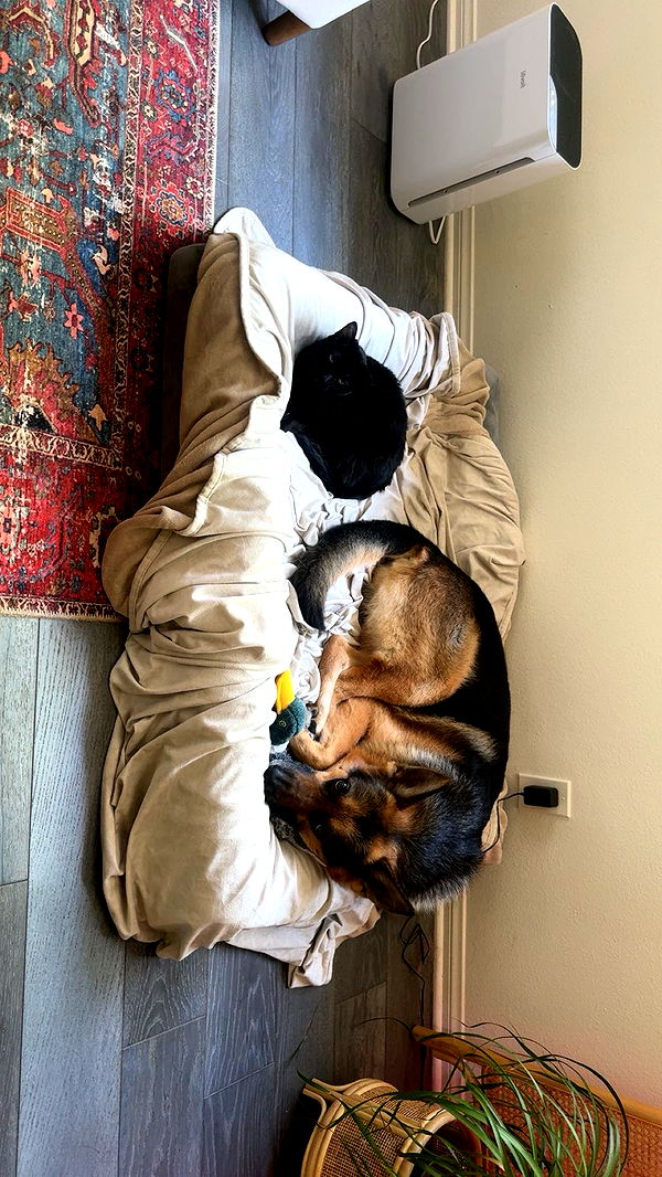 little.warren1 image ~ Altpins