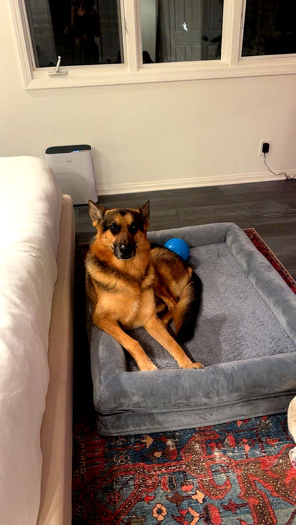 little.warren1 image ~ Altpins