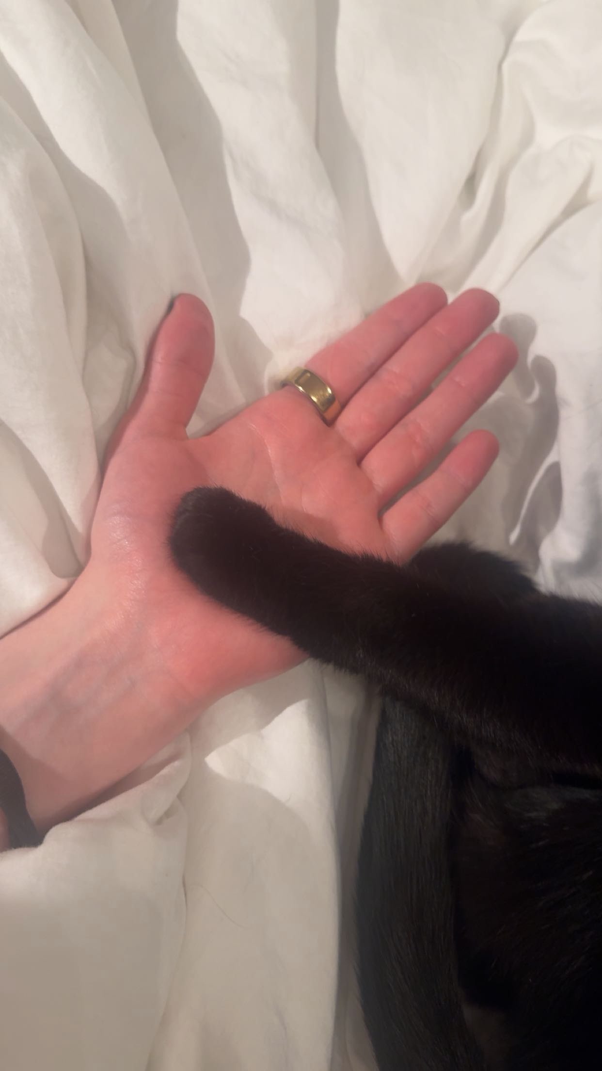 little.warren1 snapchat image archive image