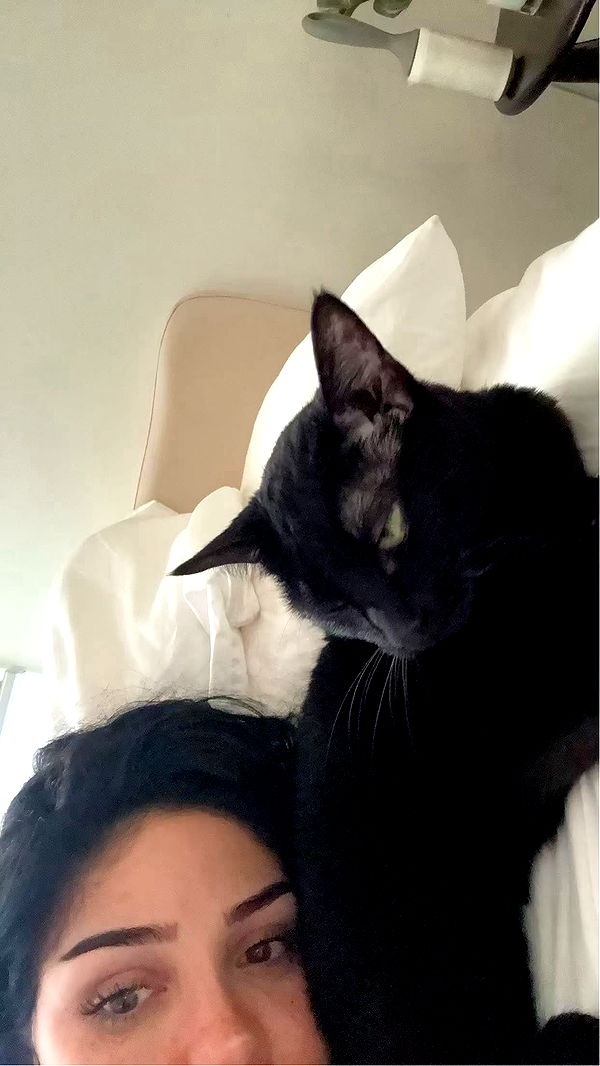 little.warren1 image ~ Altpins