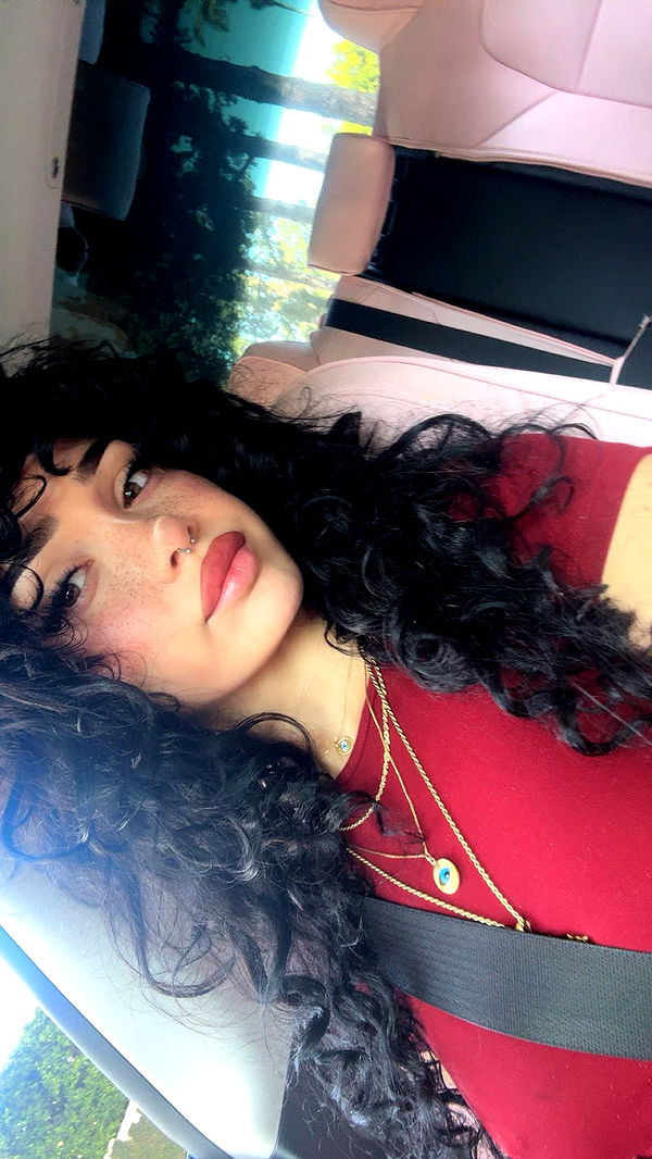 little.warren1 image ~ Altpins