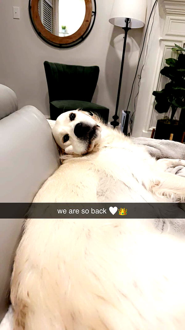 livvy_gymnast snapchat image archive image