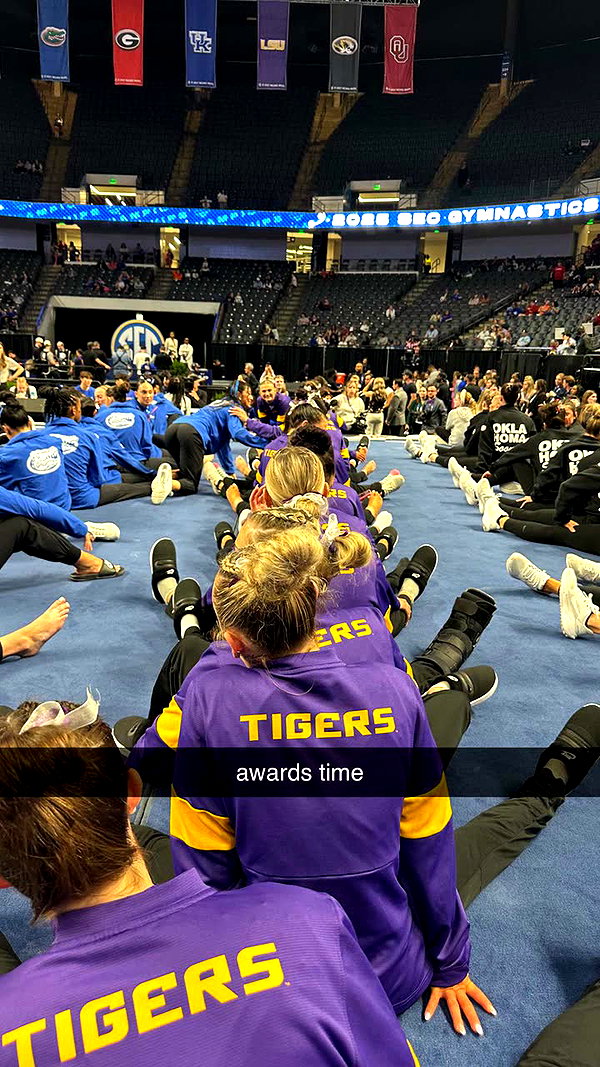 livvy_gymnast snapchat image archive image