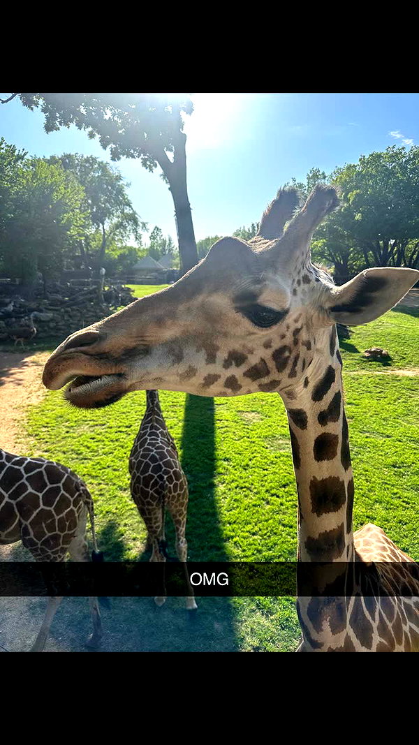 livvy_gymnast snapchat image archive image