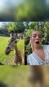 livvy_gymnast Altpins Profile Picture