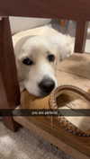 livvy_gymnast Altpins Profile Picture