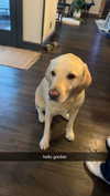 livvy_gymnast Altpins Profile Picture