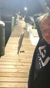 livvy_gymnast Altpins Profile Picture