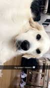livvy_gymnast Altpins Profile Picture