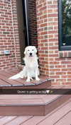 livvy_gymnast Altpins Profile Picture