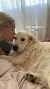 livvy_gymnast Altpins Profile Picture
