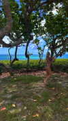 livvy_gymnast Altpins Profile Picture