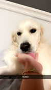 livvy_gymnast Altpins Profile Picture