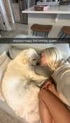 livvy_gymnast Altpins Profile Picture