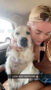 livvy_gymnast Altpins Profile Picture