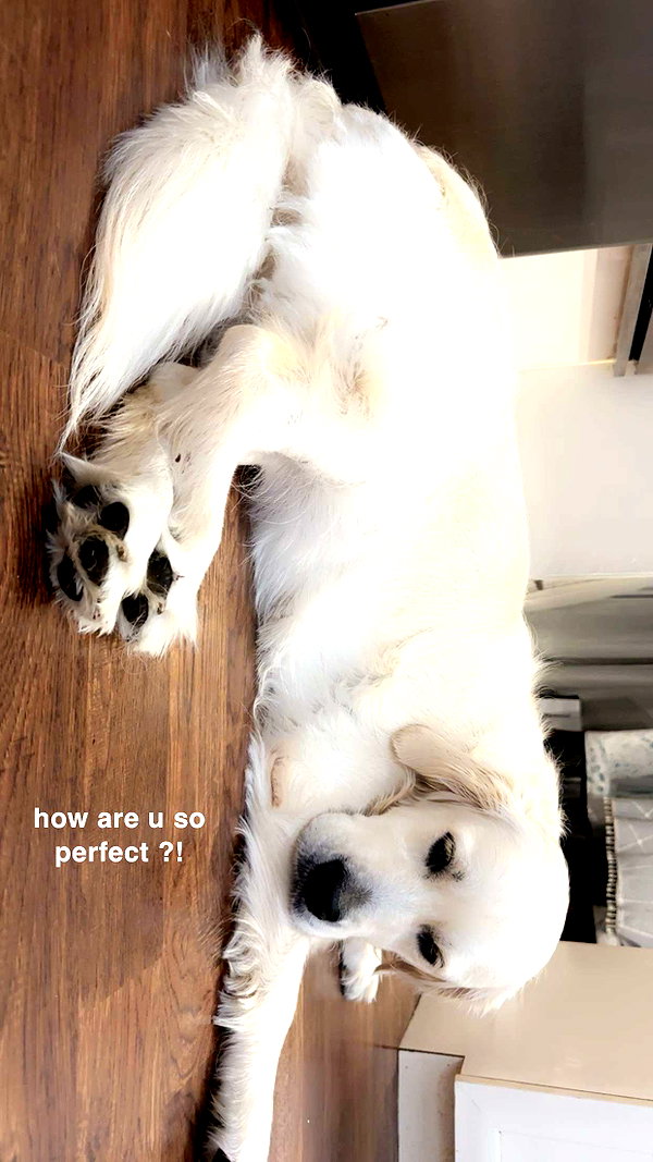 livvy_gymnast snapchat image archive image