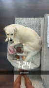 livvy_gymnast Altpins Profile Picture