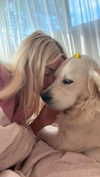 livvy_gymnast Altpins Profile Picture