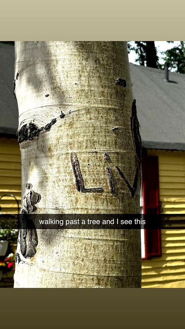 livvy_gymnast snapchat image archive image