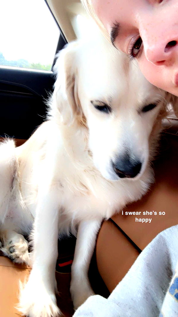 livvy_gymnast snapchat image archive image