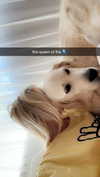 livvy_gymnast Altpins Profile Picture