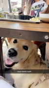 livvy_gymnast Altpins Profile Picture
