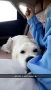 livvy_gymnast Altpins Profile Picture
