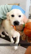livvy_gymnast Altpins Profile Picture