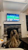 livvy_gymnast Altpins Profile Picture