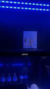 livvy_gymnast Altpins Profile Picture