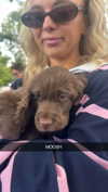 livvy_gymnast Altpins Profile Picture