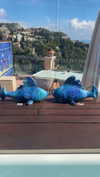 livvy_gymnast Altpins Profile Picture