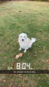livvy_gymnast Altpins Profile Picture