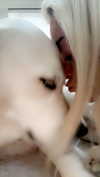 livvy_gymnast Altpins Profile Picture
