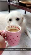 livvy_gymnast Altpins Profile Picture