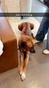 livvy_gymnast Altpins Profile Picture