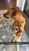 livvy_gymnast Altpins Profile Picture