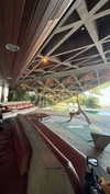 livvy_gymnast Altpins Profile Picture