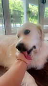 livvy_gymnast Altpins Profile Picture