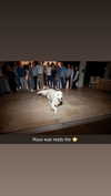 livvy_gymnast Altpins Profile Picture