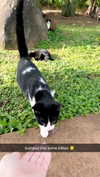 livvy_gymnast Altpins Profile Picture