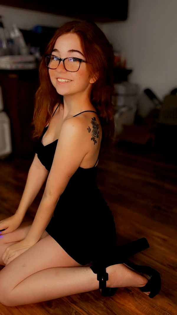 lyssaurora image ~ Altpins