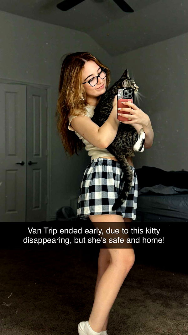 lyssaurora image ~ Altpins