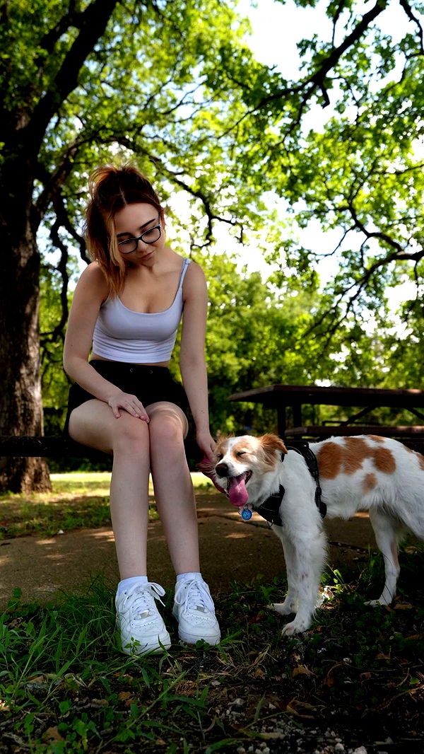 lyssaurora image ~ Altpins