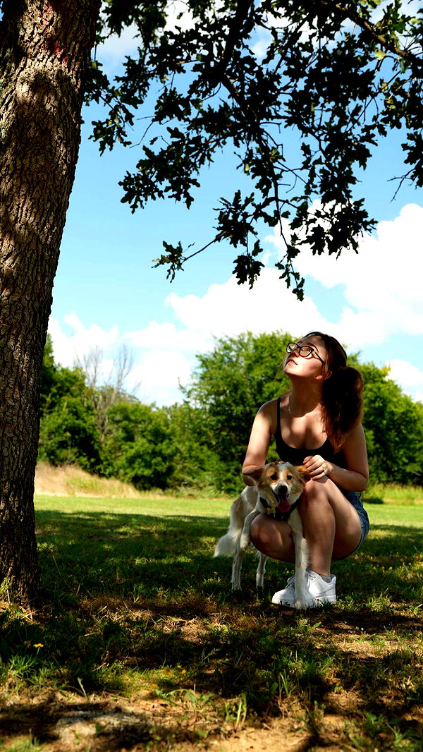 lyssaurora image ~ Altpins