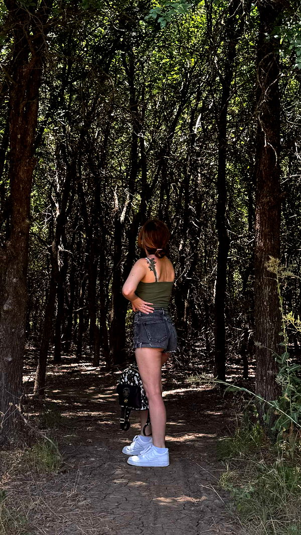 lyssaurora image ~ Altpins